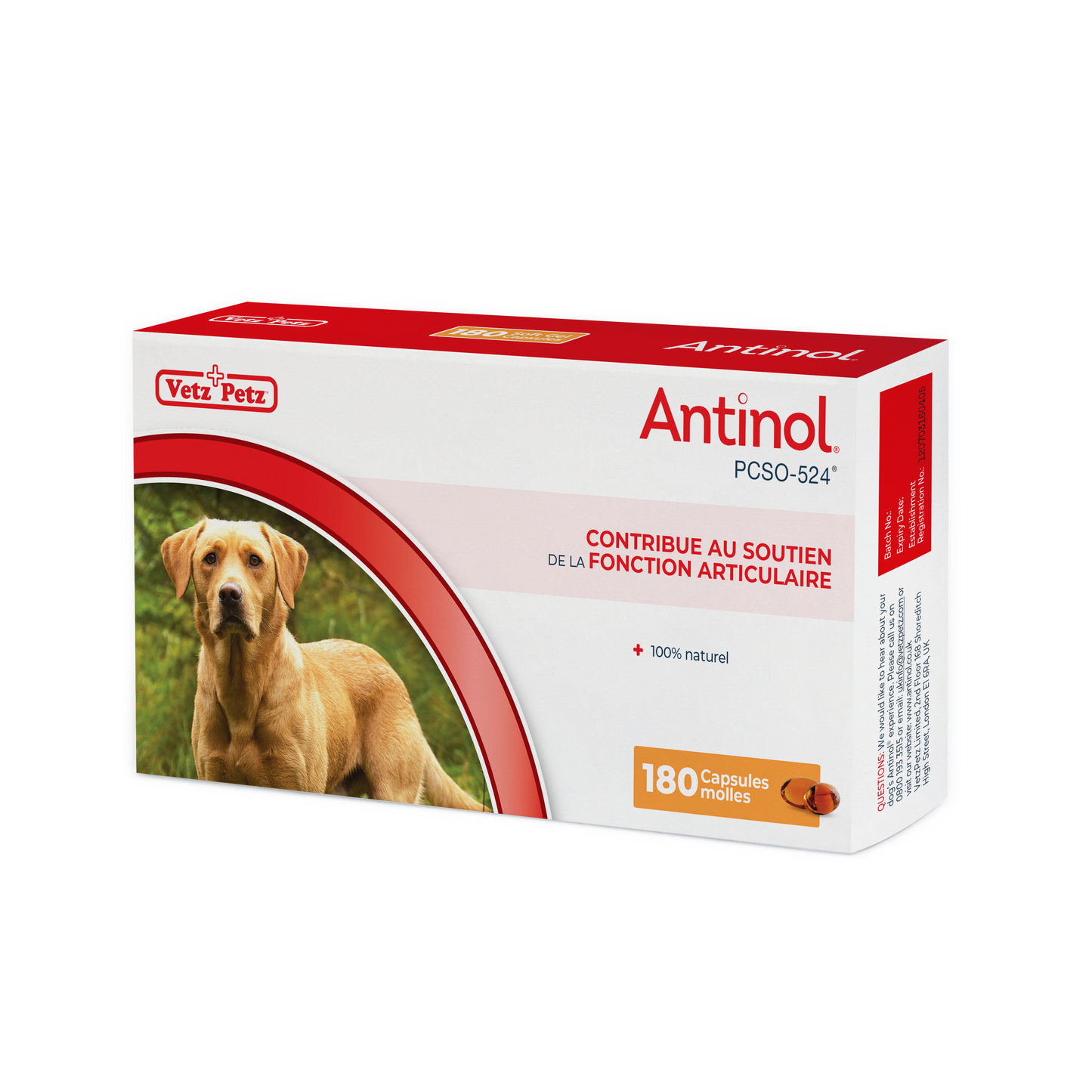 Antinol pour les chiens