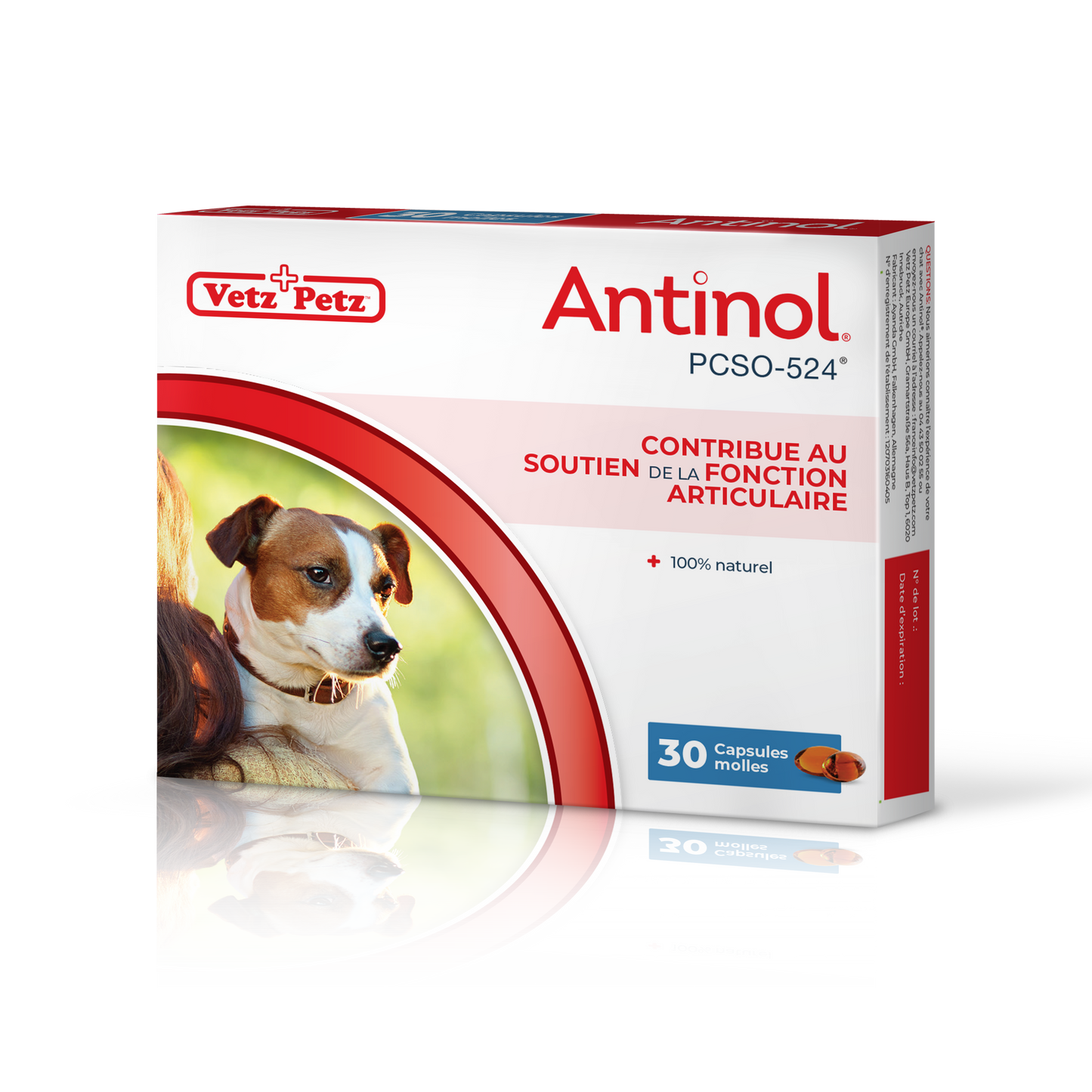 Antinol pour les chiens