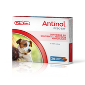 Antinol pour les chiens