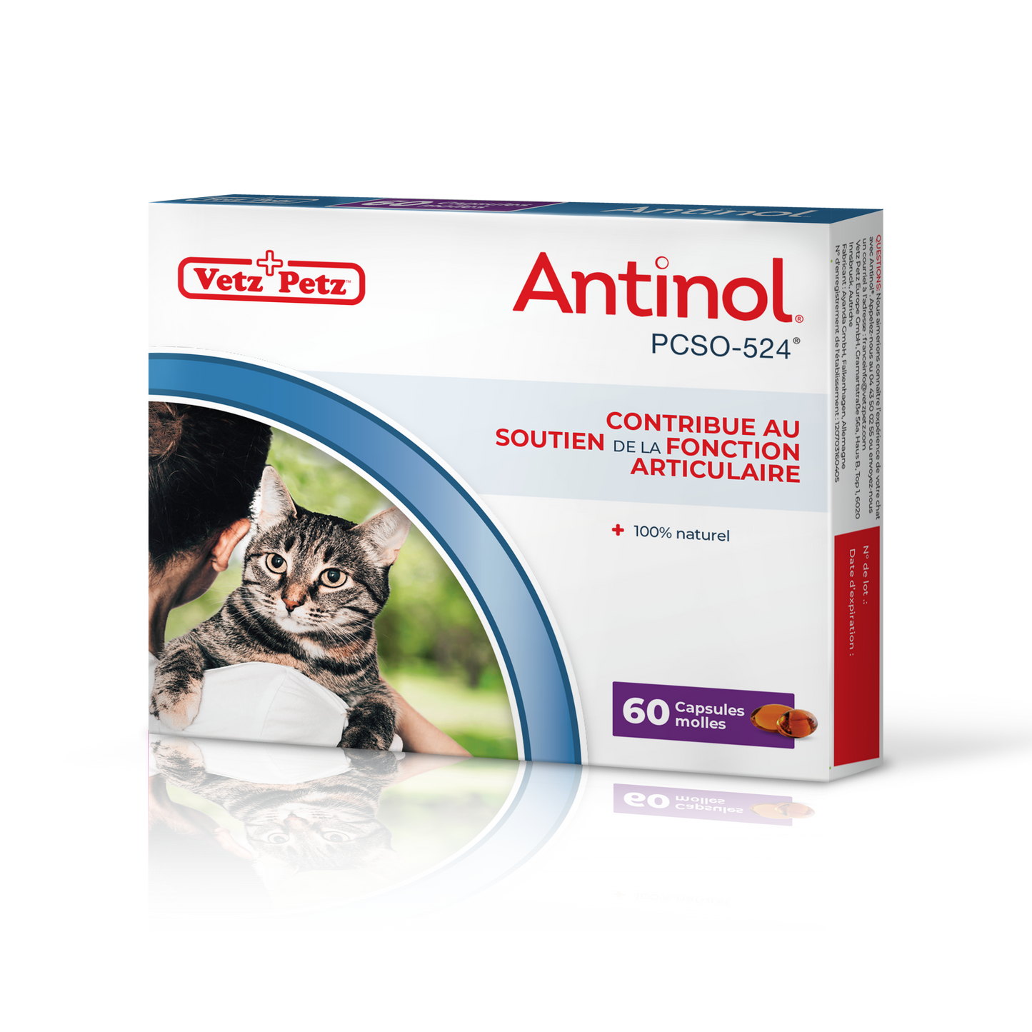 Antinol pour les chats