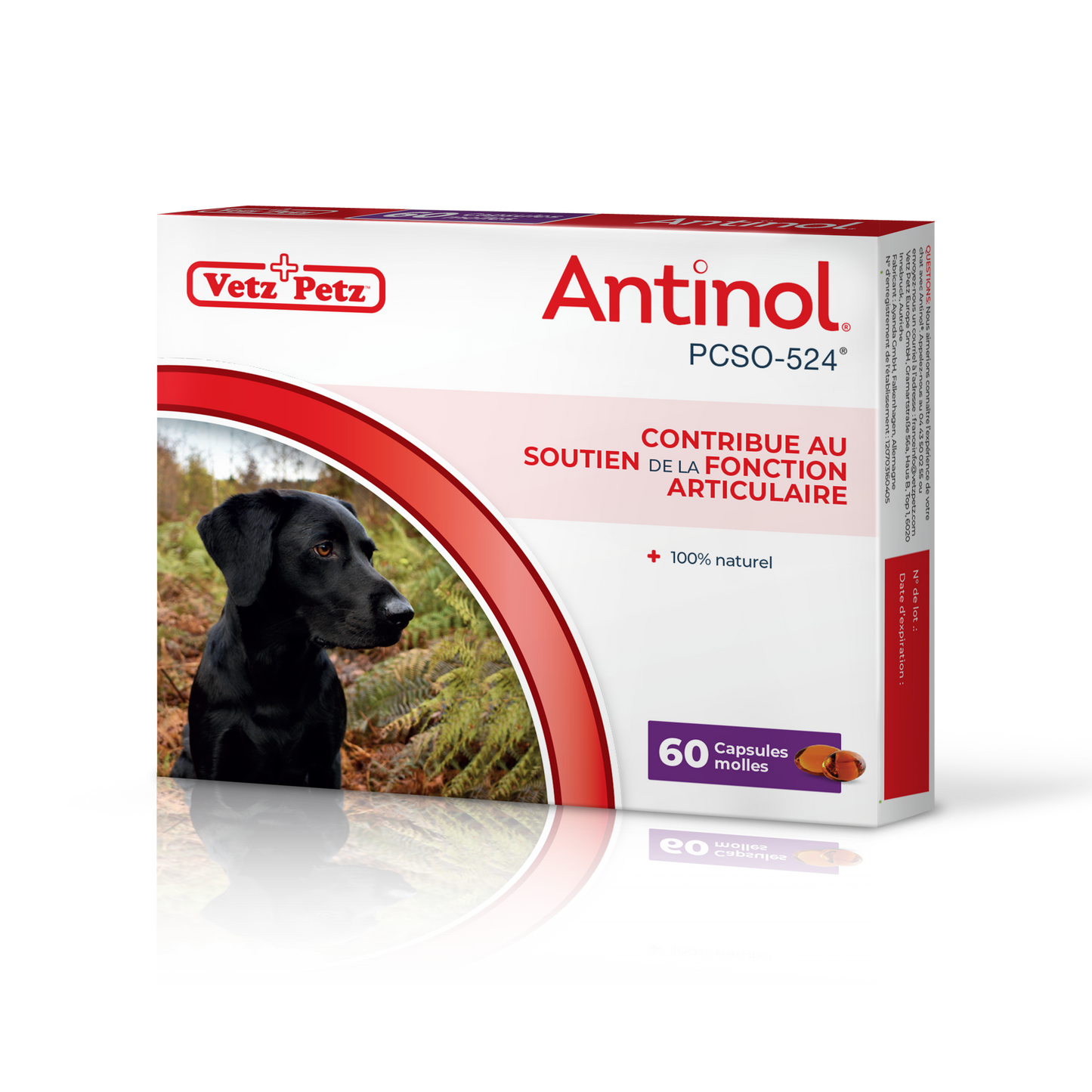 Antinol pour les chiens