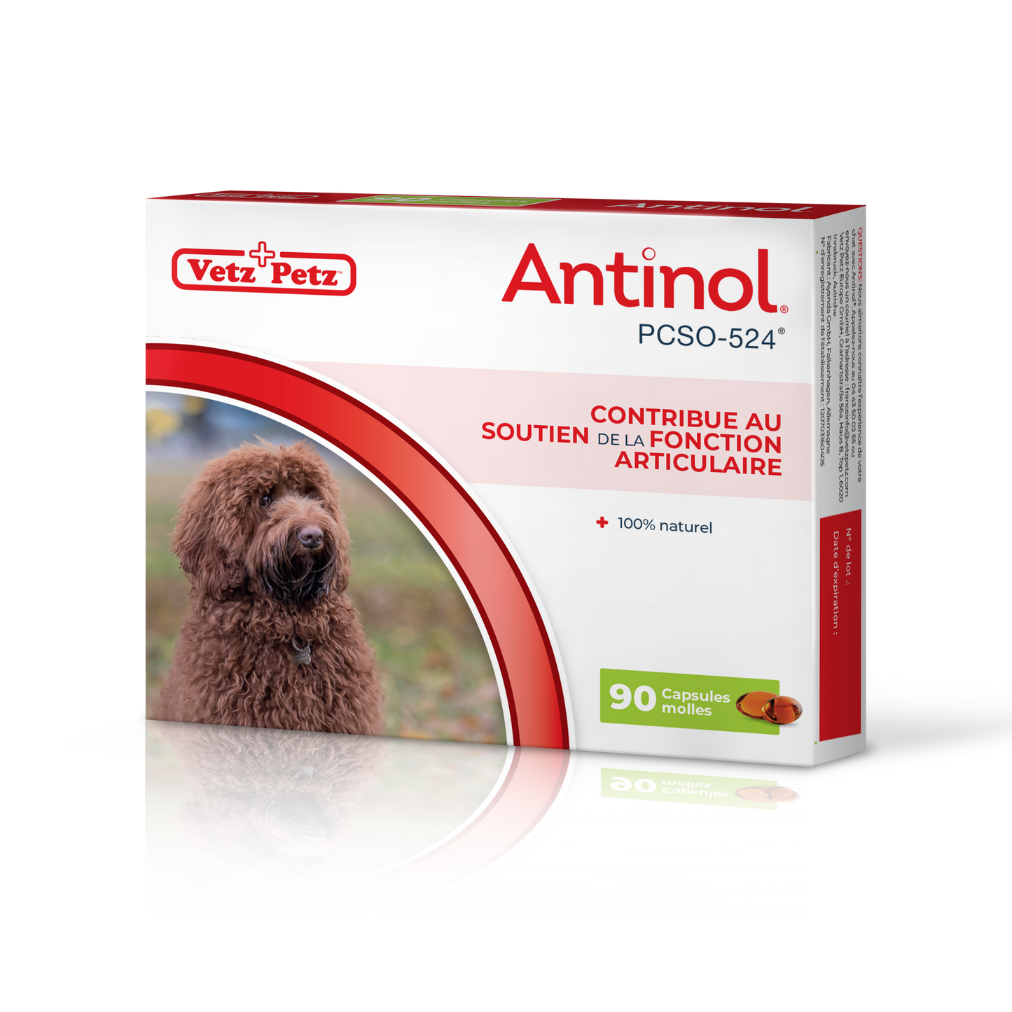 Antinol pour les chiens