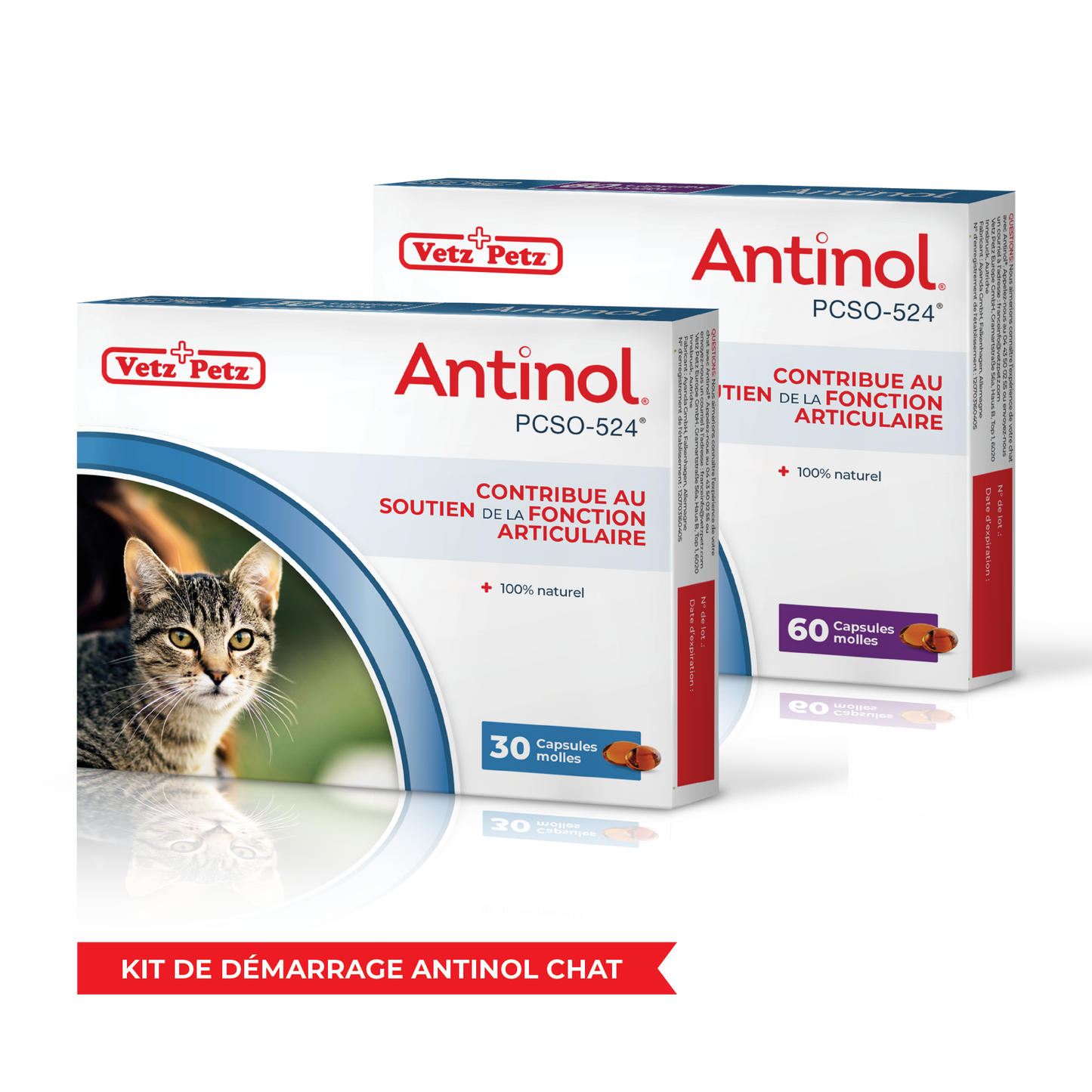 Kit de démarrage Antinol Chat