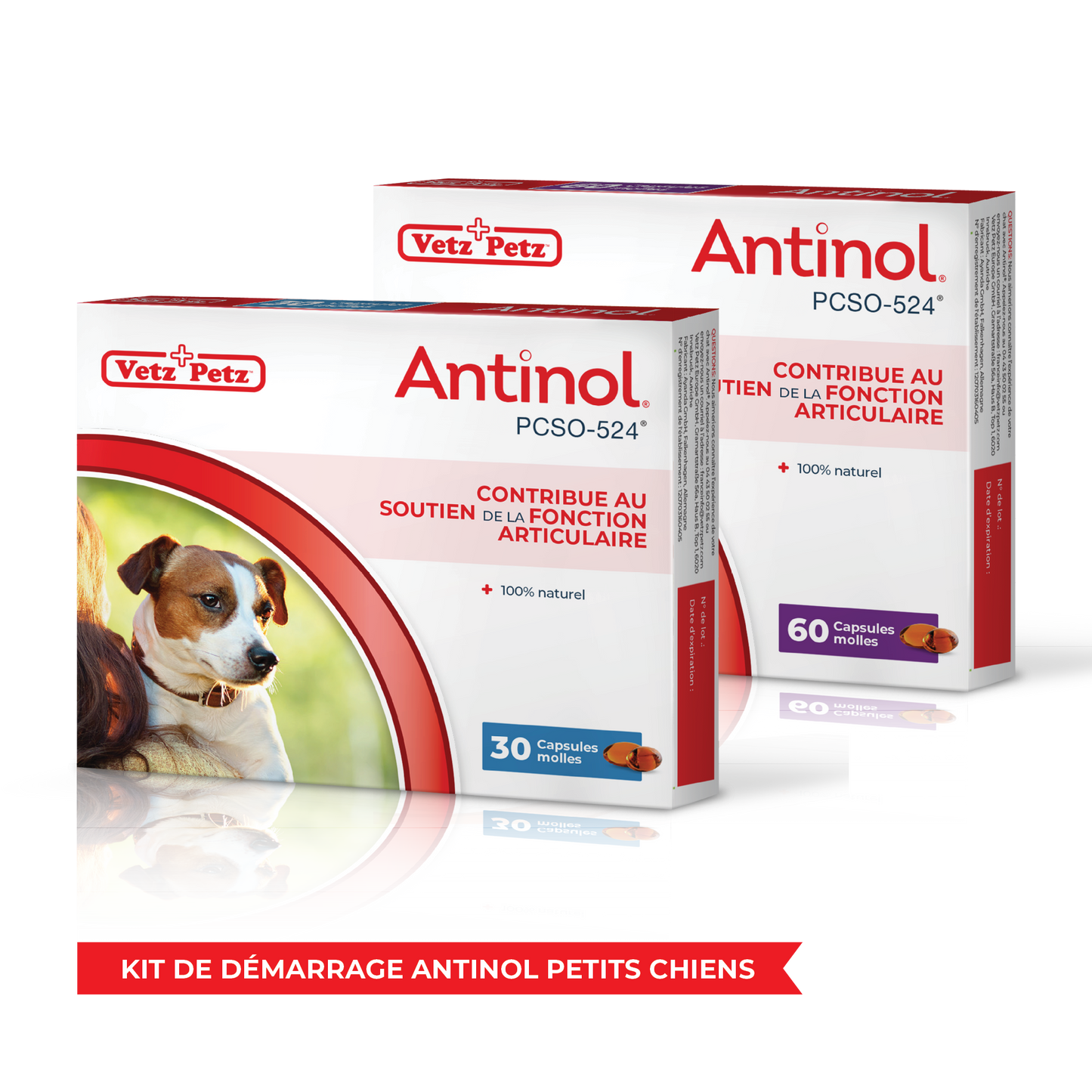 Kit de démarrage Antinol Petits chiens