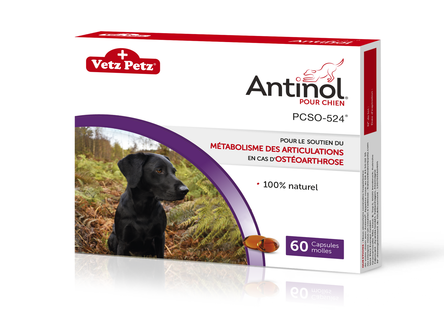 Antinol for vets