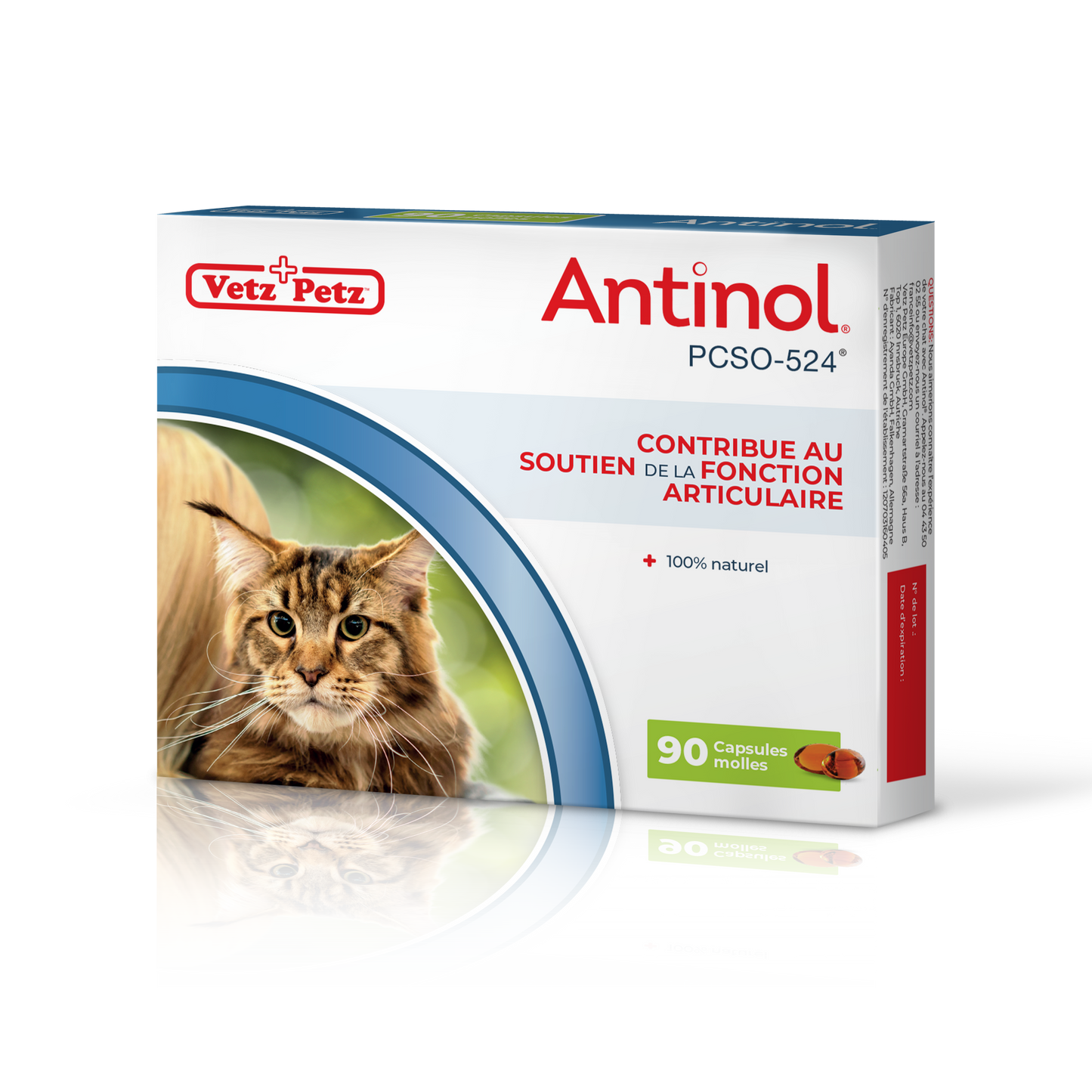 Antinol for cats