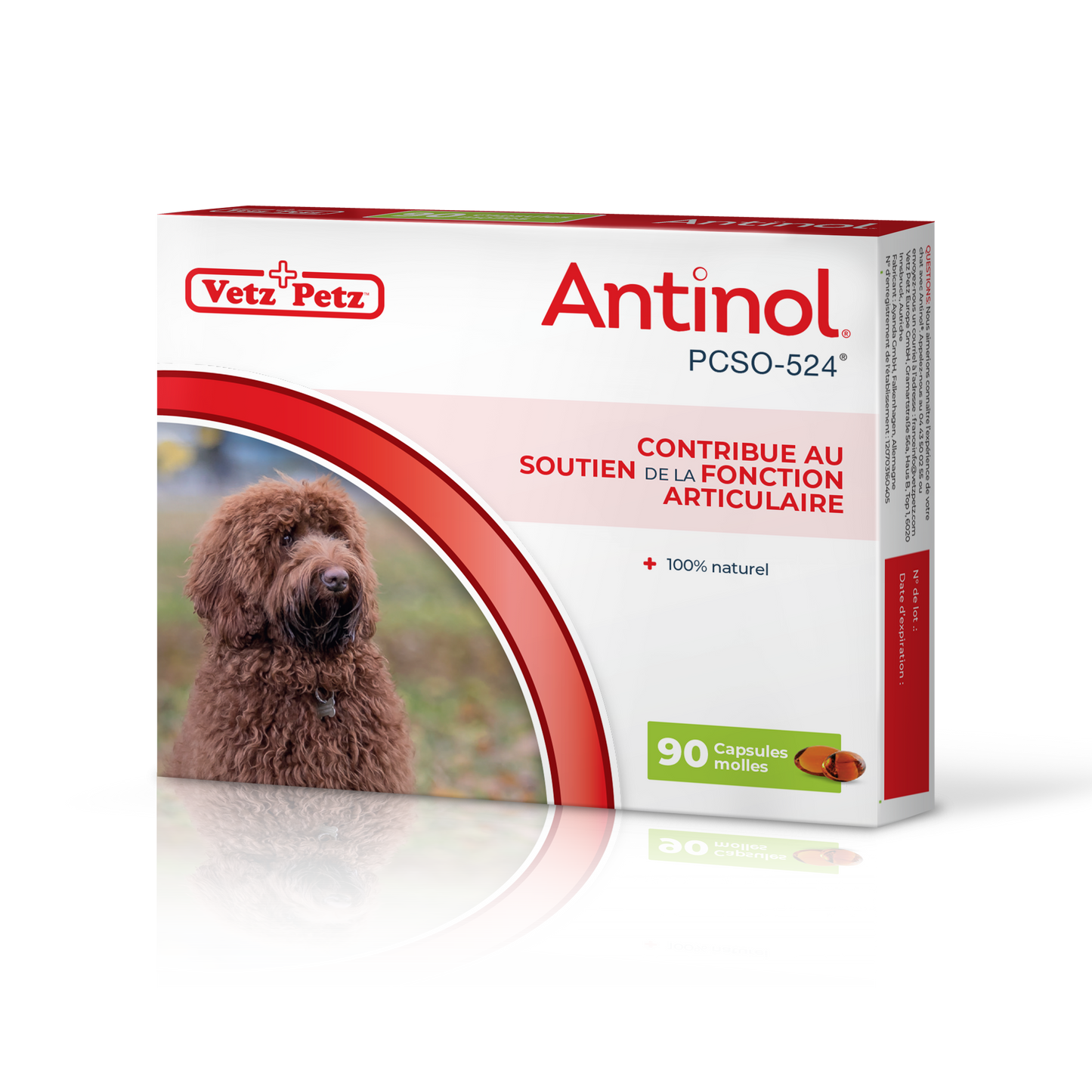 Antinol for dogs