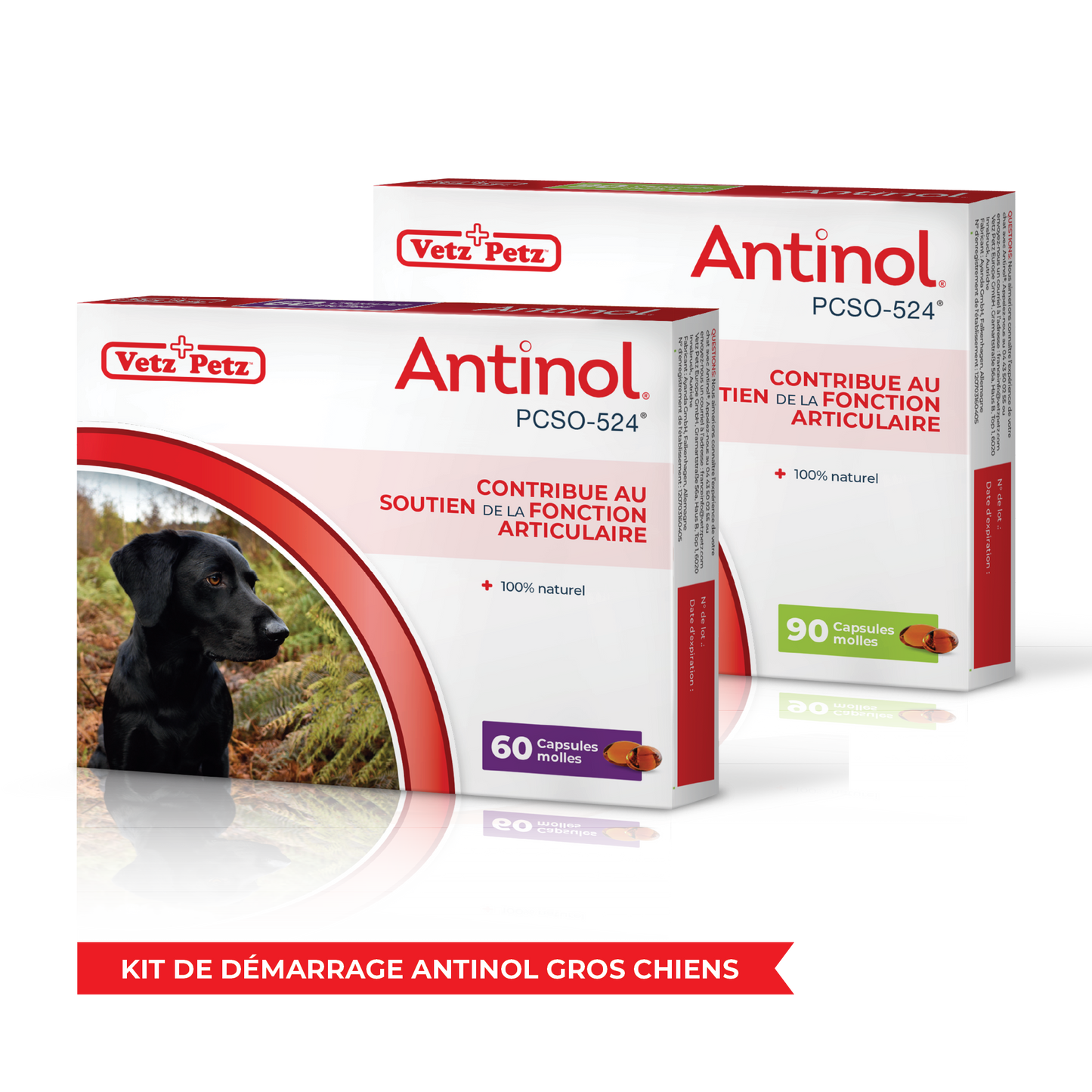 Kit de démarrage Antinol Gros chien